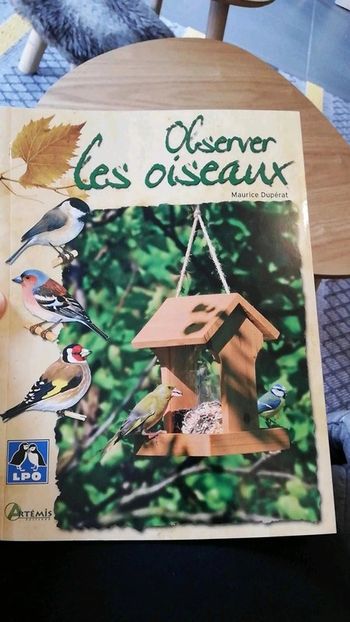 Observer les oiseaux