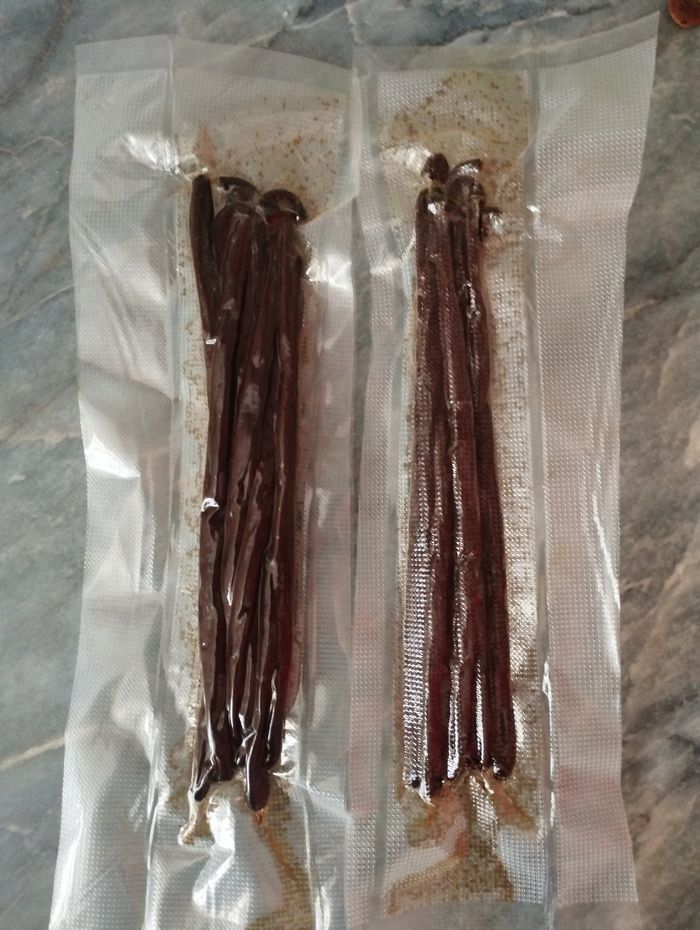 Gousses de vanille - photo numéro 2