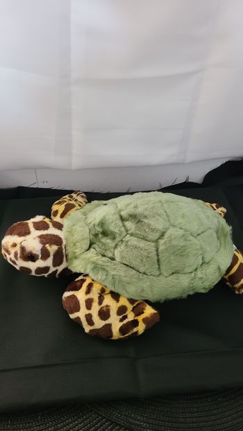 peluche national geographic la tortue