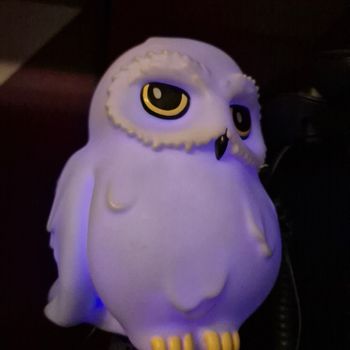 Veilleuse lumière Hedwige