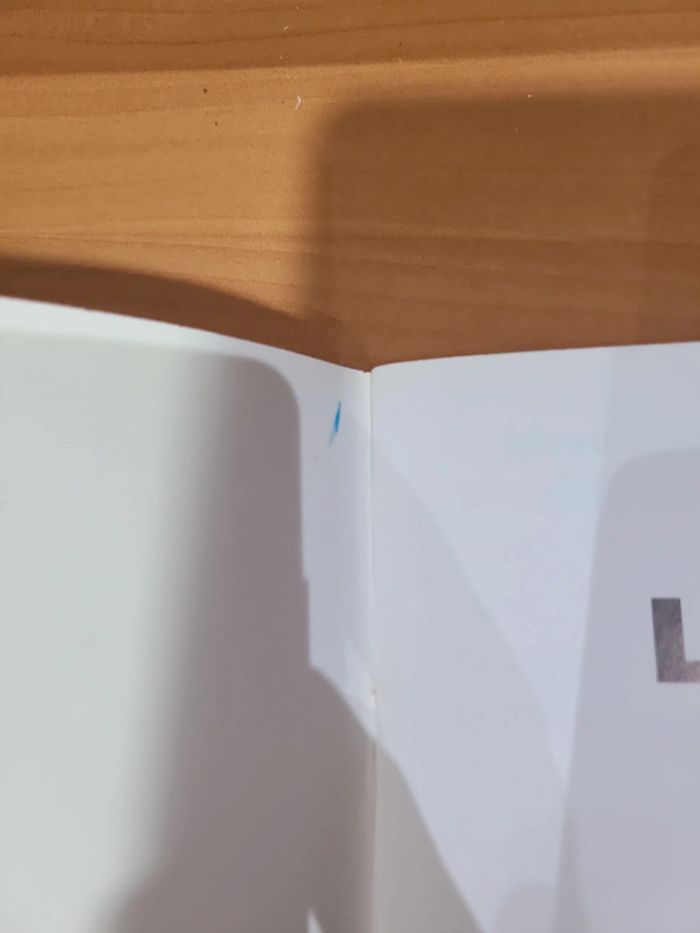 Cache cache avec le carnaval - photo numéro 4