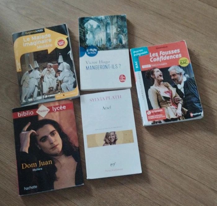 Livres lycée,BTS, collège à l'unité - photo numéro 2