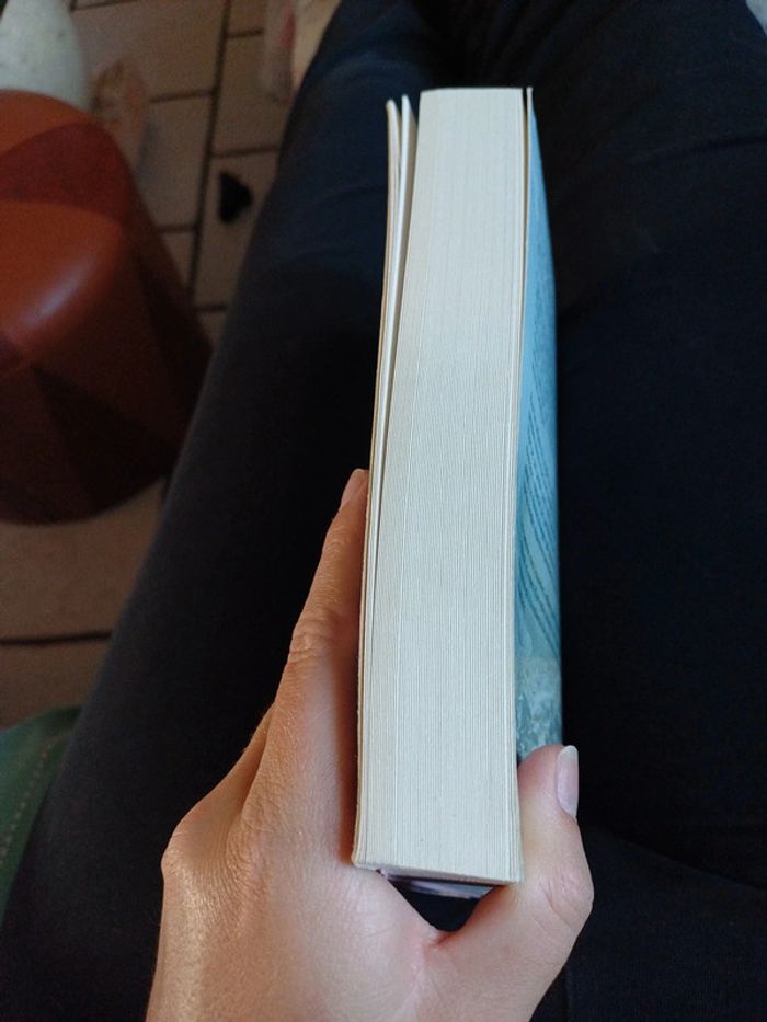 Livre l'auberge des cimes - photo numéro 2