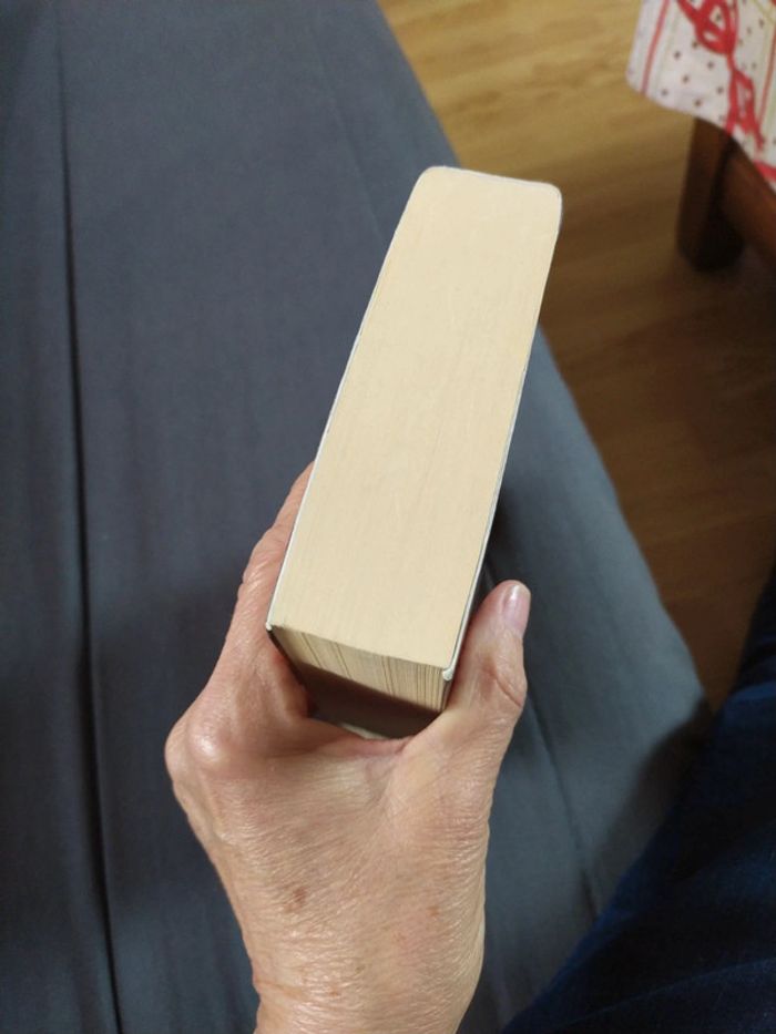 Yeruldelgger de Ian Manook - photo numéro 3