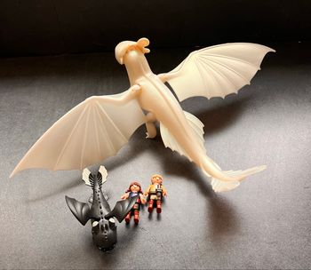 Furie Éclair et bébé Dragon avec Les Enfants playmobil
