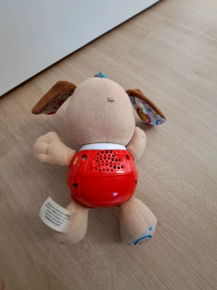 Chien musical - photo numéro 4