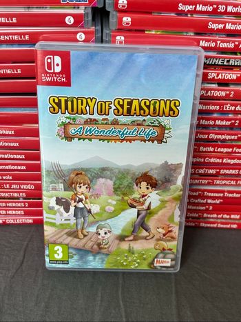 Story of seasons a wonderful life switch