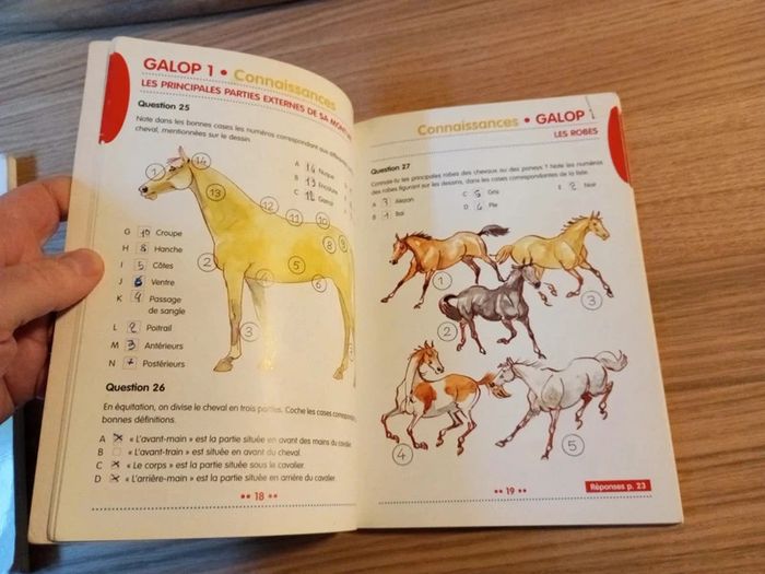 Livres galops 1 à 4/ galops 5 et 6/ Galops 1 à 4 questions réponses - photo numéro 13