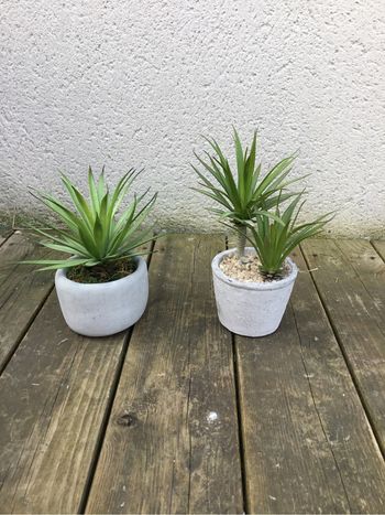 Lot Plante artificielles