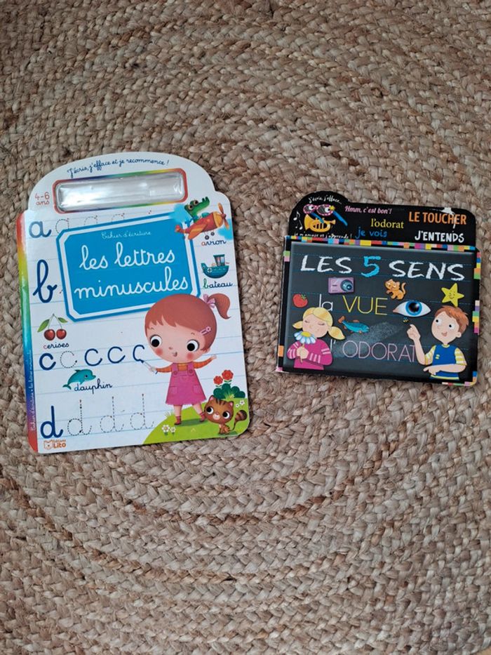 2 cahiers/ livres d écriture les lettres minuscules et les 5 sens