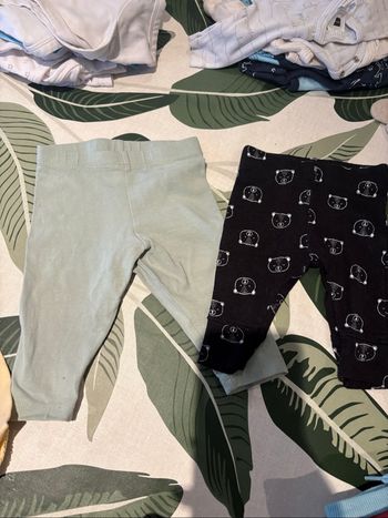 Legging