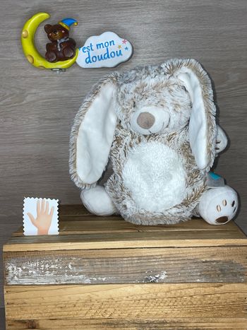 TEX24 Doudou lapin 🐰 marionette tex