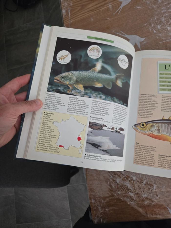 Atlas sur la pêche - photo numéro 3