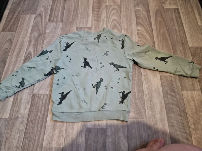 Pull dino - photo numéro 2