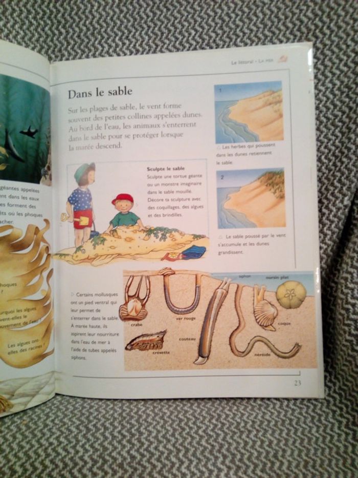 La Mer - Ma première encyclopédie - Ed. Nathan (pour France Loisirs) - photo numéro 7