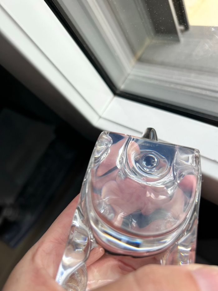 Pingouin en baccarat - photo numéro 6