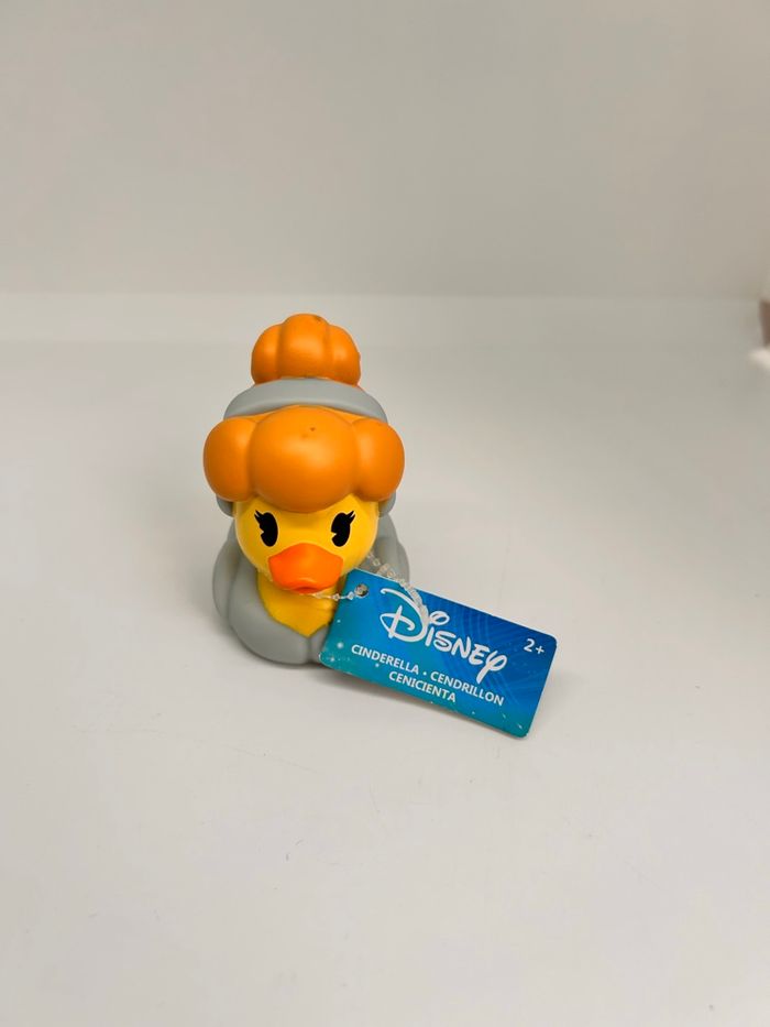 Petit canard Cendrillon - photo numéro 2