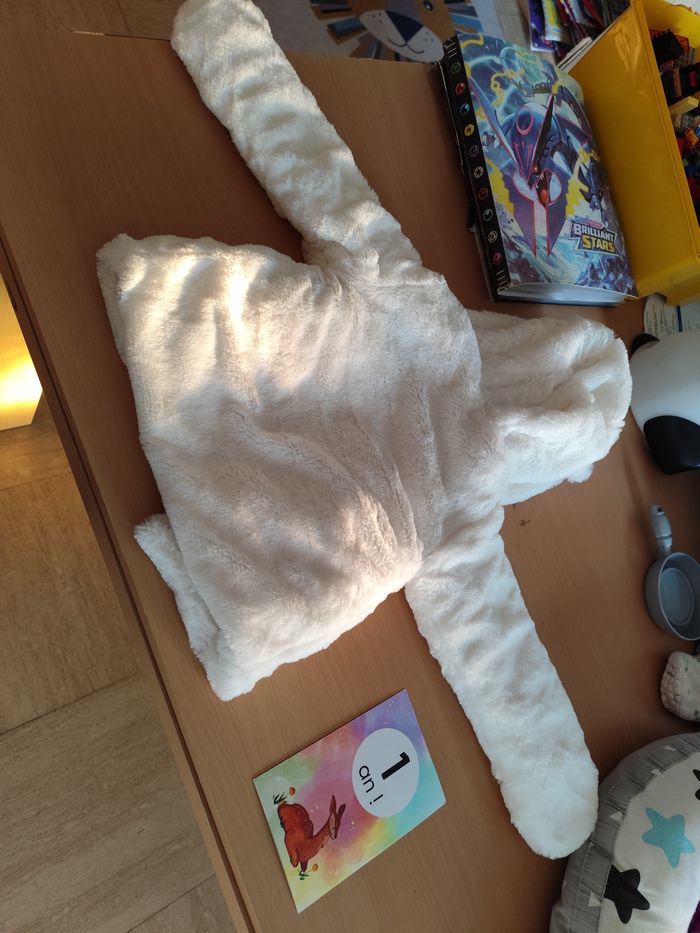 Vends manteau d'hiver  bébé 12 mois - photo numéro 6