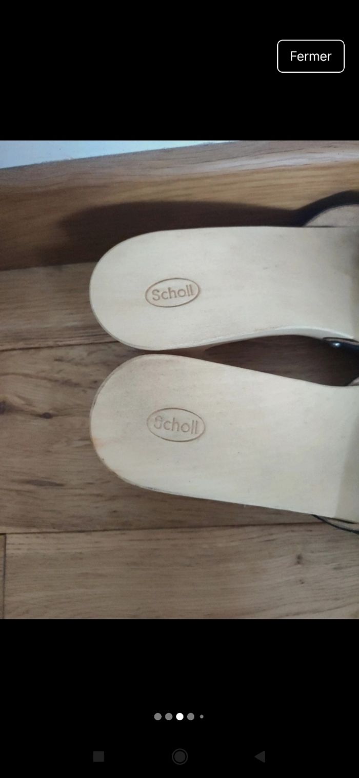 Mule Scholl - photo numéro 3