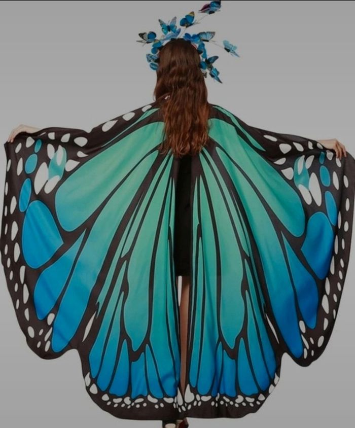 Déguisement papillon - photo numéro 3