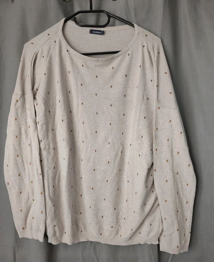 Pull femme fin taille L in extenso