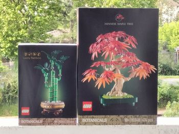 Lego bonsaï d'érable rouge du Japon et bambou