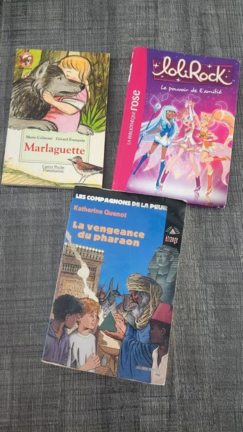 Lot 3 livres