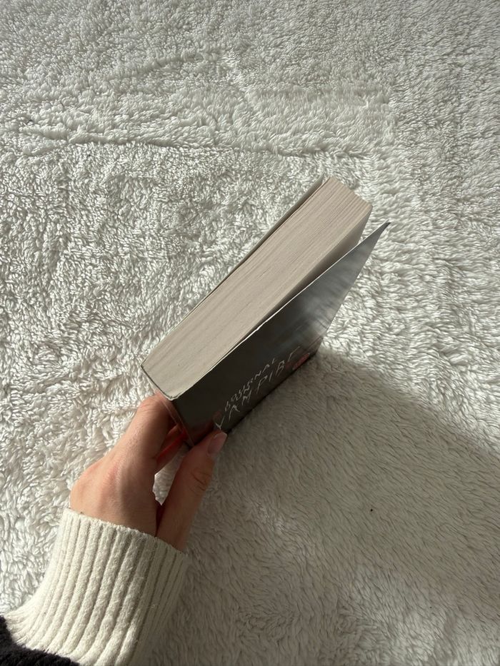 Journal d’un Vampire – Tome 1 – L.J. Smith – Livre de Poche - photo numéro 4