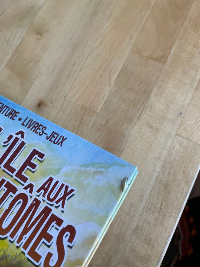 Livre jeu grund l’île aux 100 fantômes - photo numéro 4
