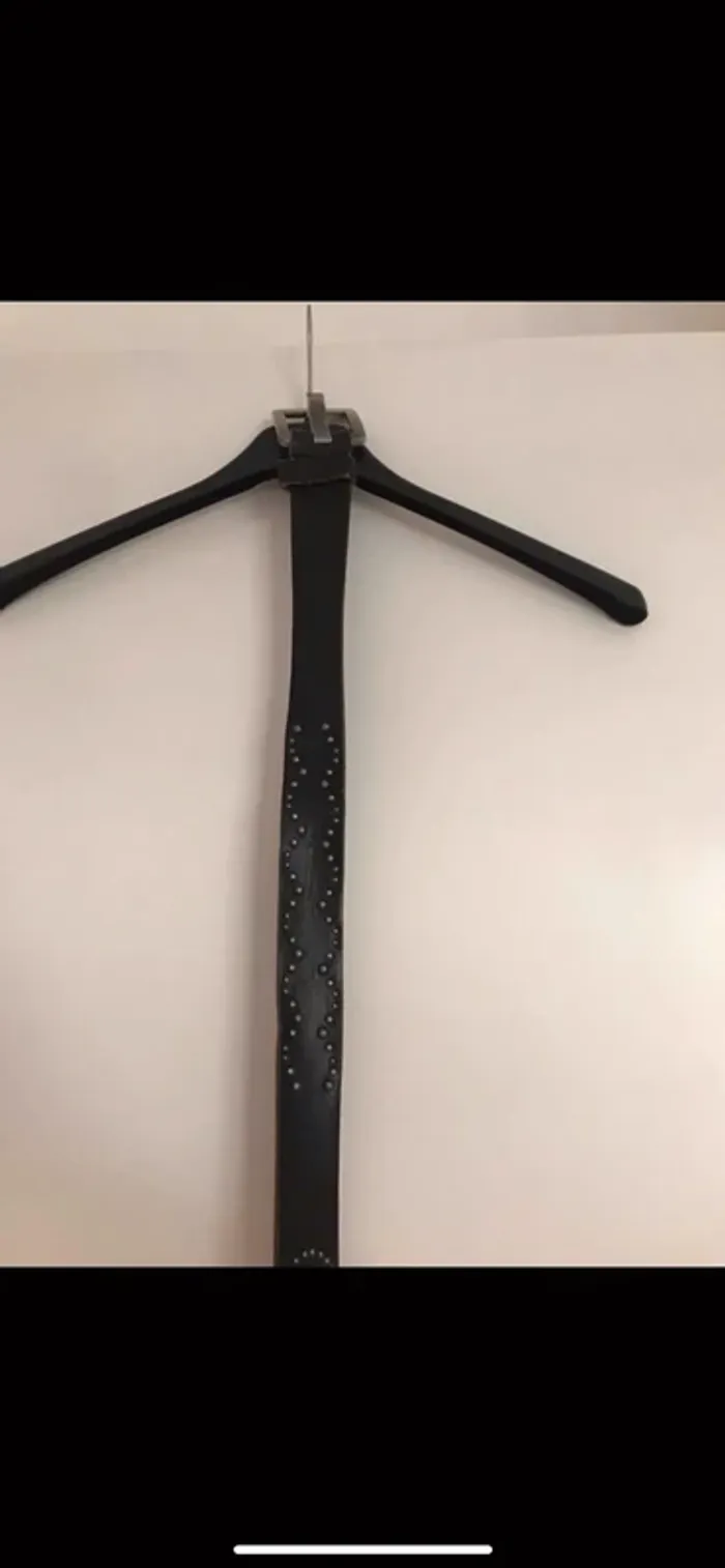 Ceinture. - photo numéro 4