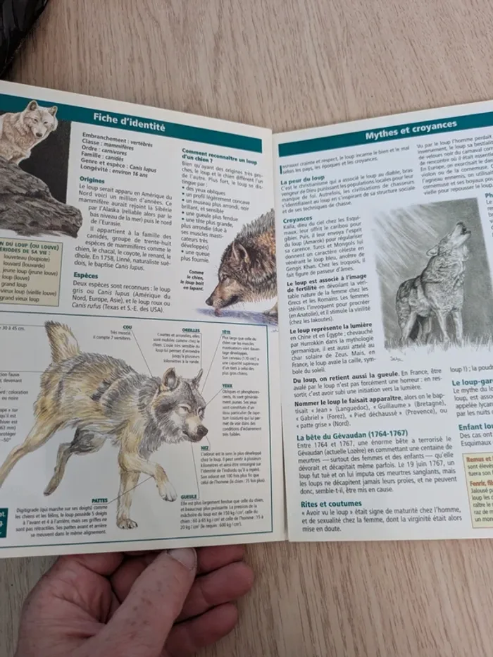 Livret sur les loups - photo numéro 2