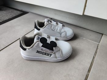 Basket Mickey 26