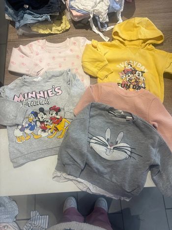 Lot pulls 12 - 18 mois