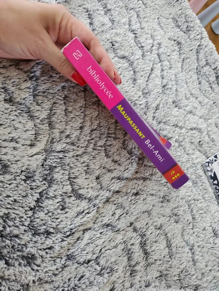 Livre Bel-Ami - Maupassant- Biblio Lycée - photo numéro 3