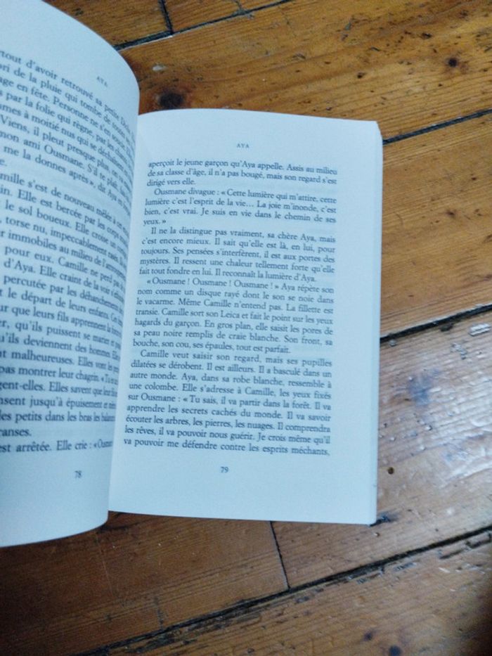 Marie Virginie dru - photo numéro 3