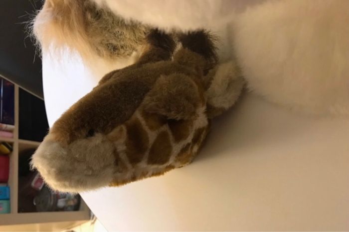 Trophée - lot de 3 - photo numéro 4