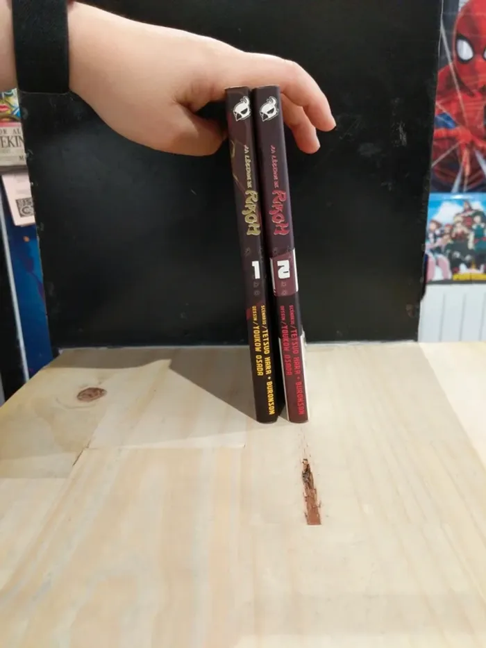 Lot La Légende de Raoh – Tomes 1 & 2 - photo numéro 2