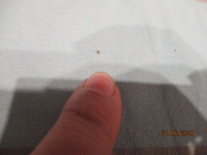 polo firefly.co - photo numéro 8