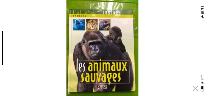 Atlas junior les animaux sauvages