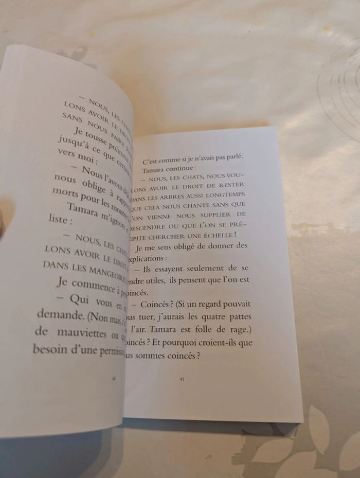 Le chat assassin tombe amoureux - photo numéro 6