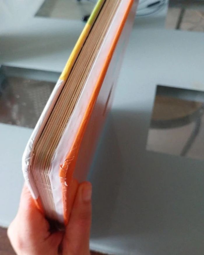 Le loup qui voulait changer de couleur sonore - photo numéro 2