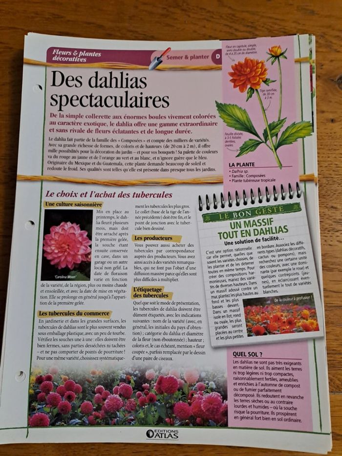 Fiches Atlas sur les plantes