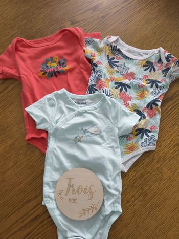 Lot de 3 bodies manches courtes