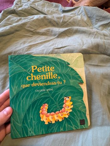 Petite chenille 