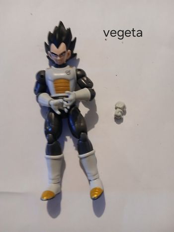 Figurine vegeta
