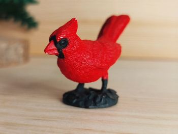 Safari oiseau cardinal Figurine animal