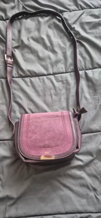 Sac prune