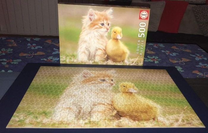 Magnifique puzzle Chaton + caneton Educa 500 pièces