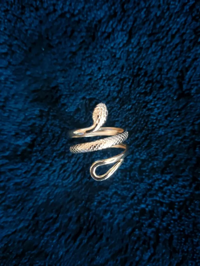 Bague serpent acier inoxydable