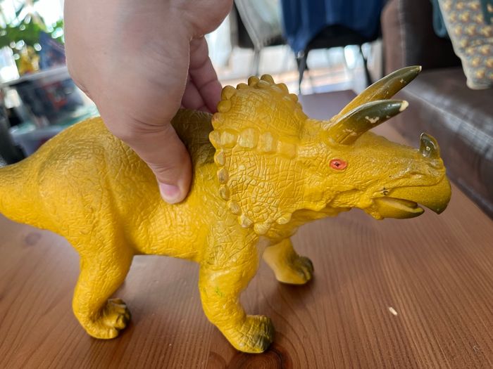 Tricératops - photo numéro 2